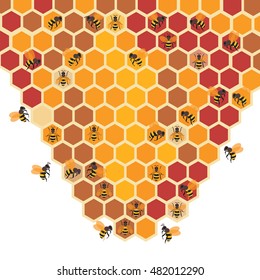 honeycomb and bee background. vector illustration.