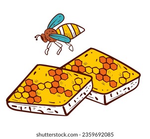 Honeycomb bee cell beehive hexagon honey concept. Vector flat graphic design illustration