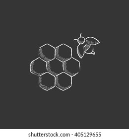 Honeycomb and bee. Drawn in chalk icon.