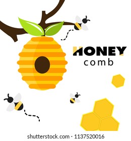 Honeycomb Bee Hive White Background Vector Image
