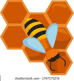 Combo de abeja , ilustración, vector sobre fondo blanco
