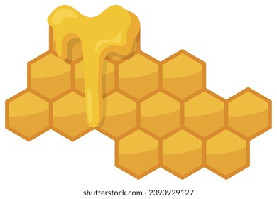 honeycomb bee isolated on white background.