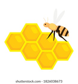 honeycomb with bee on white background vector illustration design