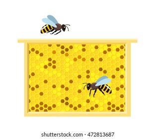 Honeycomb and bee on a wooden frame, isolated on white background. flat vector illustration