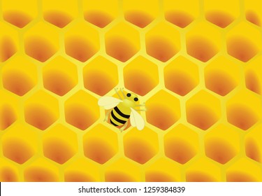 Honeycomb and bee. vector illustration