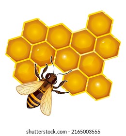Honigwabenbäume mit Bienen, Vektorgrafik einzeln auf Weiß
