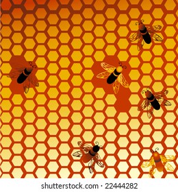 honeycomb with bees