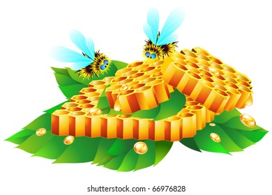 Honeycomb and bees