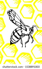 Honeycomb and bees. background in vector format with space for your text