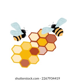 Honeycomb and bees, flat hand drawn vector illustration isolated on white background. Honey emblem or label element design with bees.