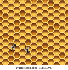 Honeycomb and bees seamless vector background. Illustration of honeycomb with bees.
