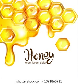 Honeycomb and bees Vector watercolor template. white backgrounds