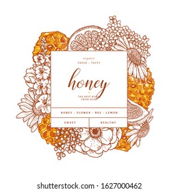 Honeycomb with citrus and flowers. Honey elements engraved vintage style. Packaging image. Vector illustration