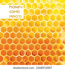 Honeycomb close up view, vector honey wallpaper background 