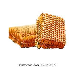 Honeycomb colored drawing, realistic. Vector illustration of paints