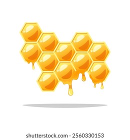 Honeycomb with dripping honey vector isolated on white backrgound.