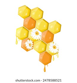 Honeycomb with drops of honey and daisies. Stylization on an isolated background. Template for your design.