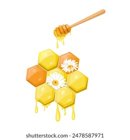 Honeycomb with drops honey and daisy on a isolated background. Logo for shop or bakery. Flat vector illustration.