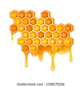 Honeycomb with flowing golden honey. Isolated on a white background. Vector illustration for posters, icons, labels, greeting cards, print and web projects. 
