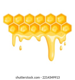 Honeycomb with flowing honey. Cartoon vector graphic.