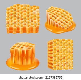 Honeycomb. Healthy wax portion yellow close up pieces of honey nutrition honeycomb realistic cells decent vector pictures set