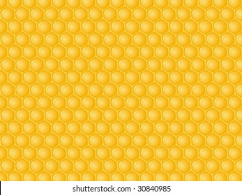 Honeycomb with honey background. Vector illustration.