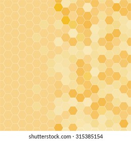 honeycomb with honey background vector illustration