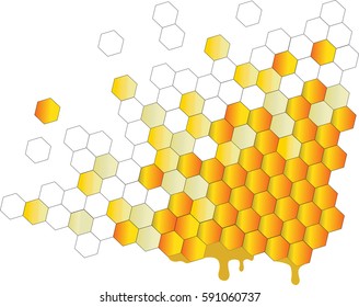 Honeycomb Honey Bee Background  Vector Abstract Illustrator  