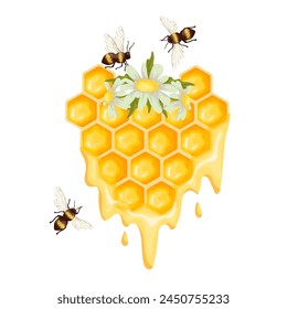 Honeycomb with honey bees and chamomile flowers .Cartoon vector graphic.