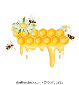 Panal con abejas y manzanilla. Gráfico de Vector de dibujos animados.