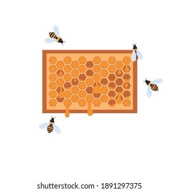 honeycomb with honey and bees. flat vector