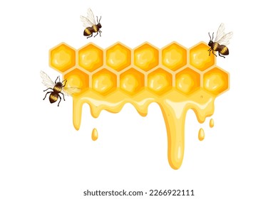 Honeycomb with honey and honey bees.Cartoon vector graphic.