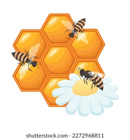 honeycomb with honey . Cartoon vector graphics.