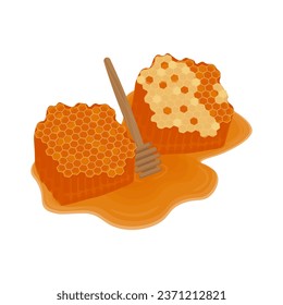 Honeycomb with Honey Dipper Vector Illustration Logo