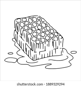 honeycomb with honey drawn by hand in doodle style.  natural bee honey. Vector illustration isolated on white background.