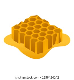Honeycomb honey icon. Isometric of honeycomb honey vector icon for web design isolated on white background