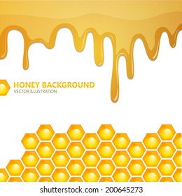 Honeycomb with honey. Vector background.
