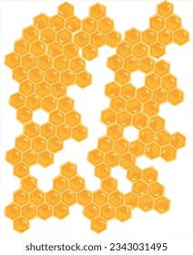 Honeycomb and Honeybee vector illustration