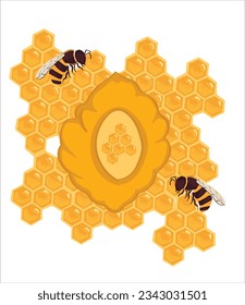 Honeycomb and Honeybee vector illustration