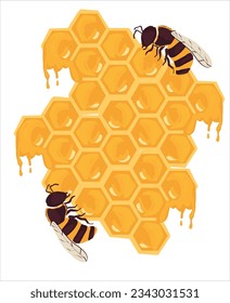 Honeycomb and Honeybee vector illustration