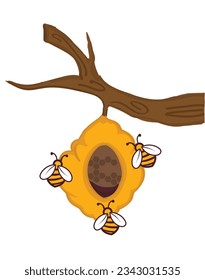 Honeycomb and Honeybee vector illustration