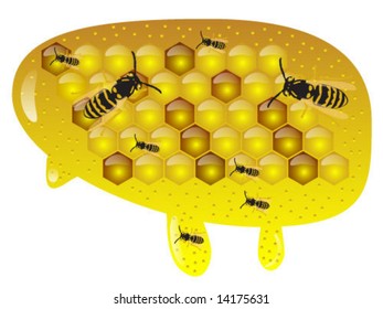 honeycomb illustration
