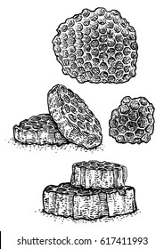 Honeycomb illustration, drawing, engraving, ink, line art, vector