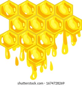 Honeycomb, illustration, vector on white background.