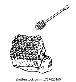Honeycomb isolated on a white background. Beeswax. honey dipper .Hand-drawn vector illustration in the Doodle style.