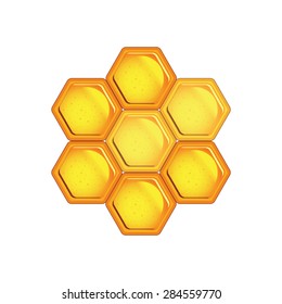 Honeycomb isolated on white background
