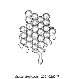 Honeycomb with large dripping drops of honey, honey products icon