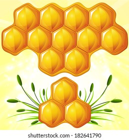 Honeycomb on glitter background. Vector illustration. 
