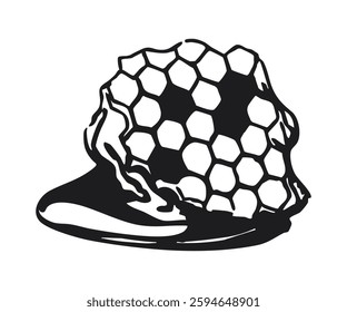 Honeycomb piece with hexagonal cells isolated on white background. Black and white hand-drawn vector illustration