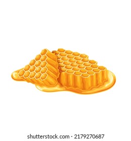 Honeycomb pieces vector illustration. Cartoon isolated yellow two comb slices with gold liquid honey, raw sticky syrup flowing from hexagon cells, healthy food product, dessert and cooking ingredient